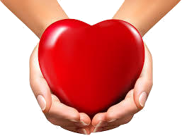 heart in hand transp
